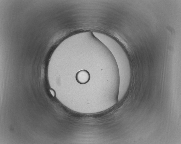 X0000115030685200911231113