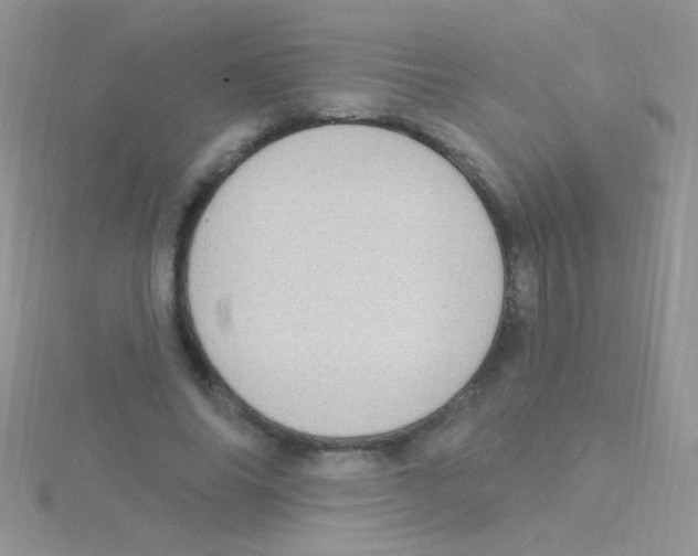 X0000115030686200911231113