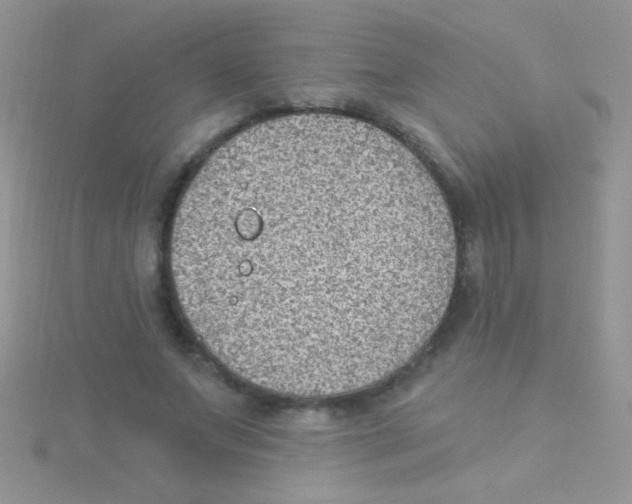 X0000115030687200911231113