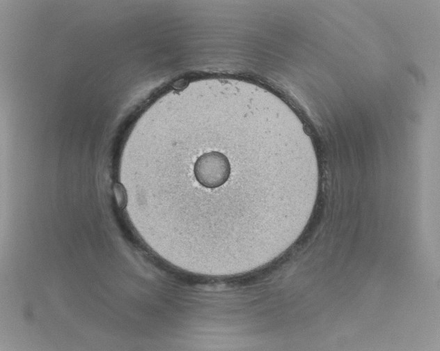 X0000115030688200911231113