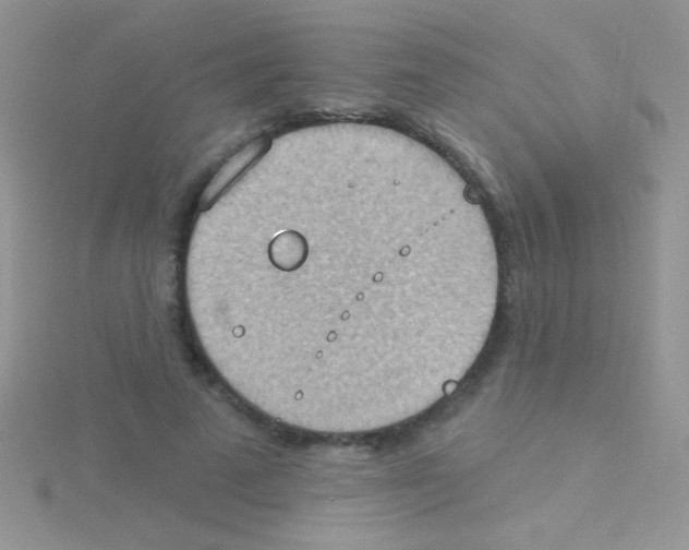 X0000115030689200911231113