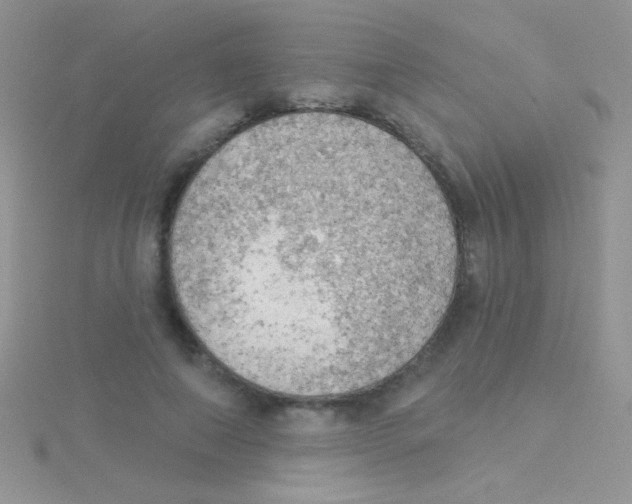 X0000115030690200911231113