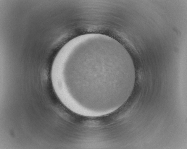 X0000115030691200911231113