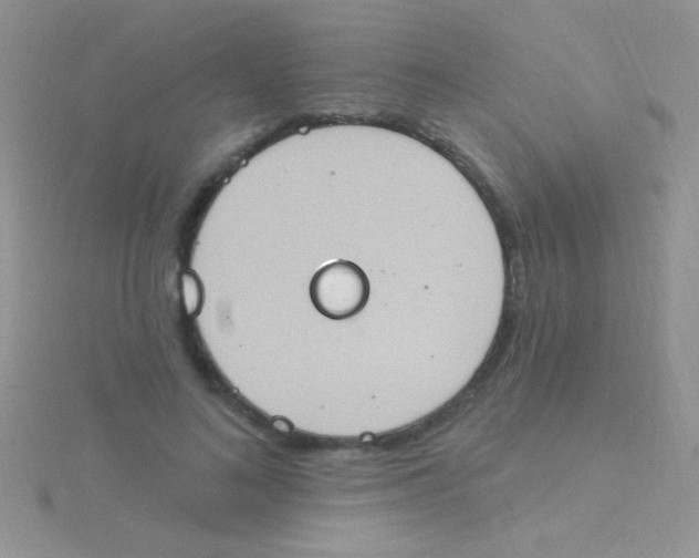 X0000115030692200911231113