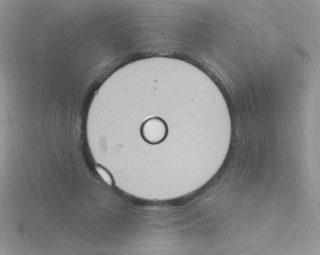 X0000115030693200911231113