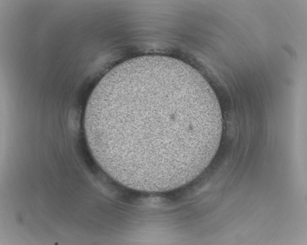 X0000115030695200911231113