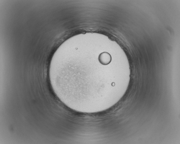 X0000115030697200911231113