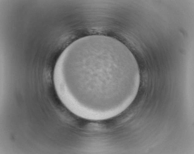 X0000115030699200911231113