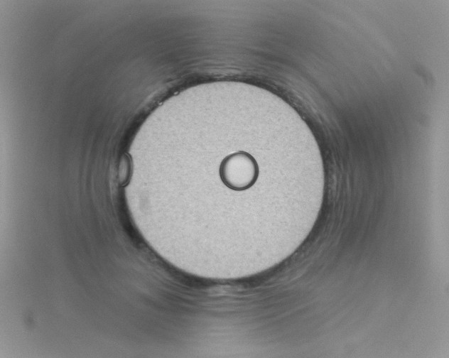 X0000115030700200911231113