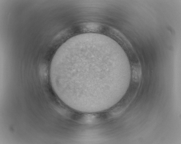 X0000115030701200911231113