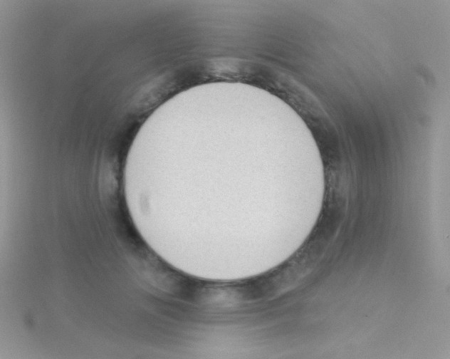 X0000115030702200911231113