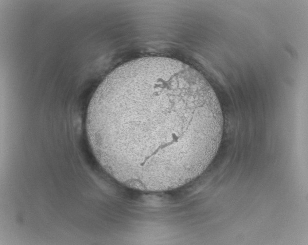 X0000115030703200911231113