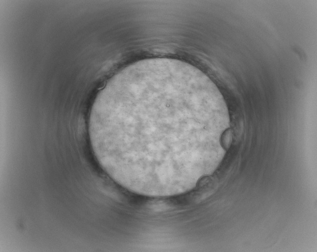 X0000115030704200911231113