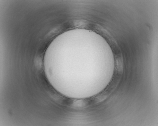 X0000115030705200911231113