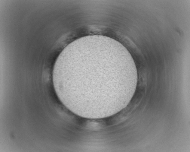 X0000115030706200911231113