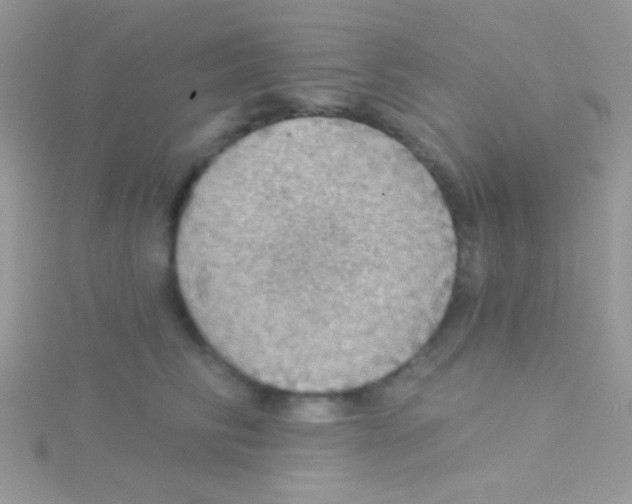 X0000115030710200911231113