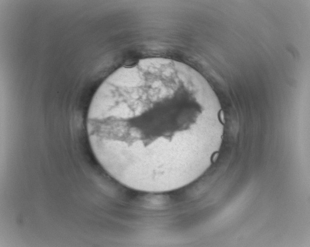 X0000115030711200911231113