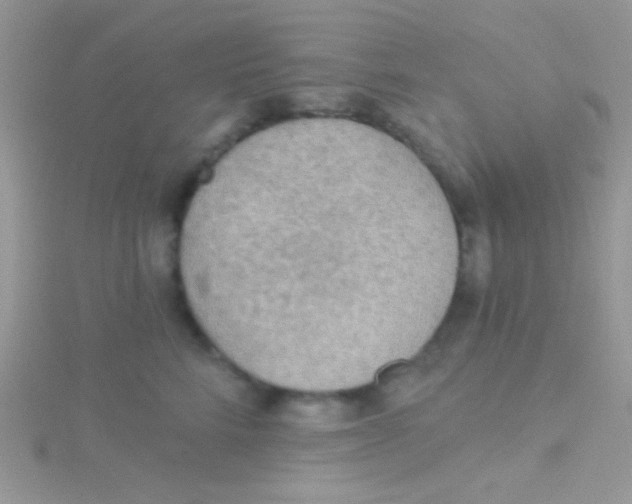 X0000115030712200911231113