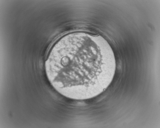 X0000115030715200911231112