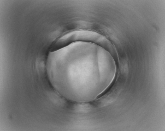 X0000115030716200911231112