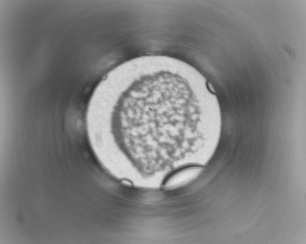 X0000115030719200911231112