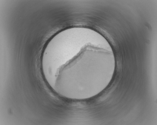 X0000115030721200911231112