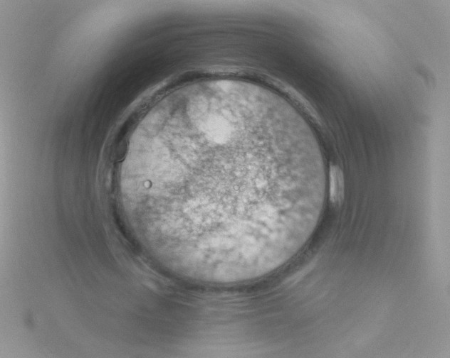 X0000115030723200911231112