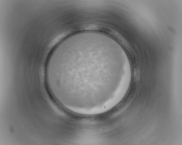 X0000115030725200911231112