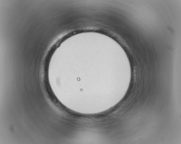 X0000115030726200911231112