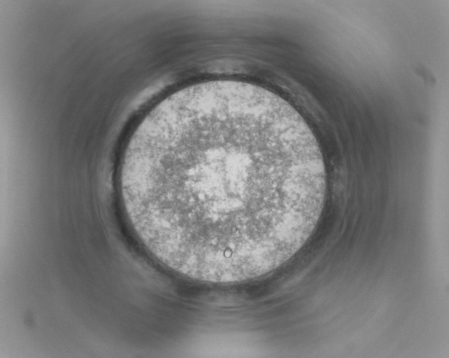 X0000115030727200911231112