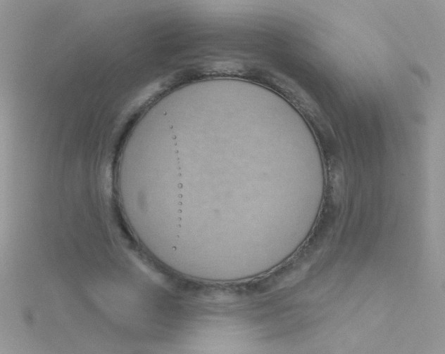 X0000115030729200911231112