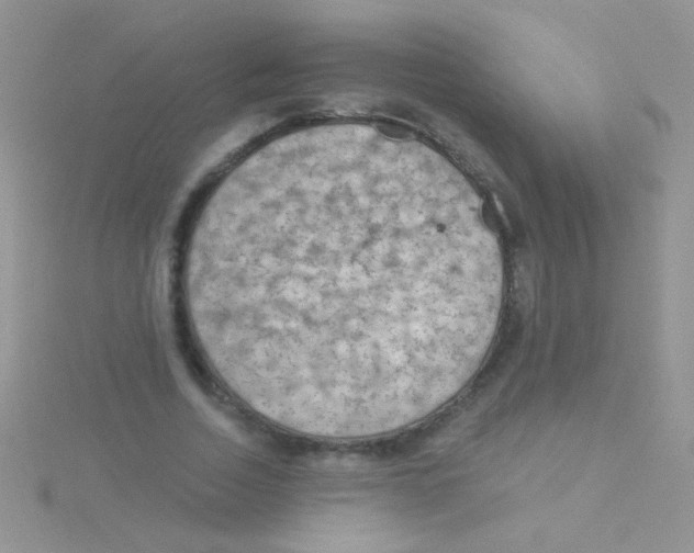 X0000115030730200911231112