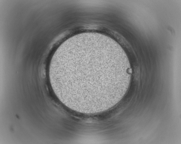 X0000115030731200911231112