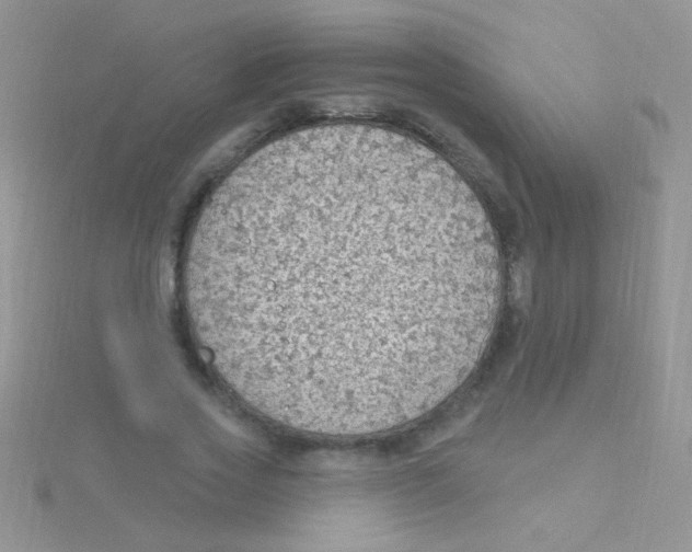 X0000115030733200911231112