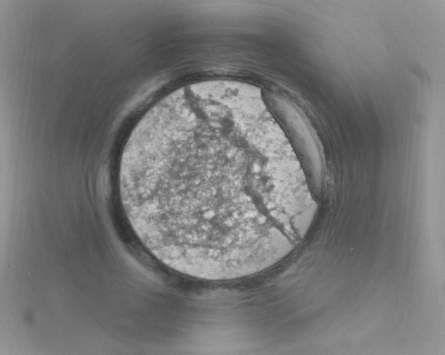 X0000115030734200911231112