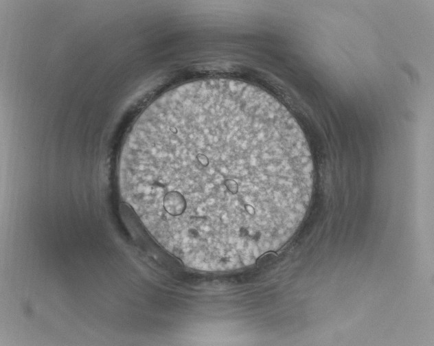 X0000115030735200911231112