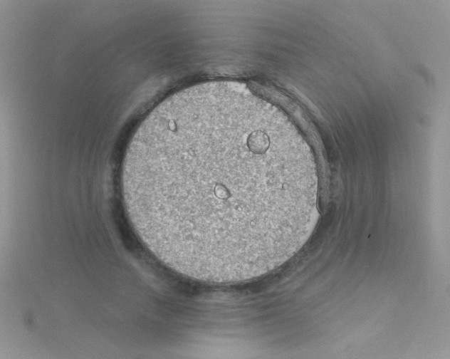 X0000115030738200911231112