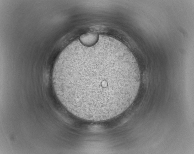 X0000115030741200911231112