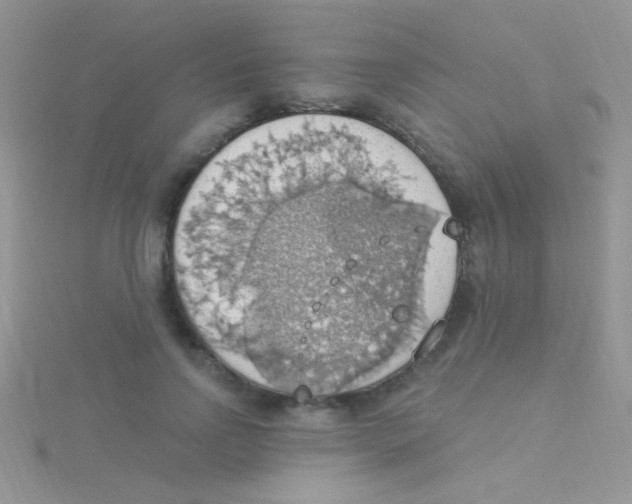 X0000115030742200911231112