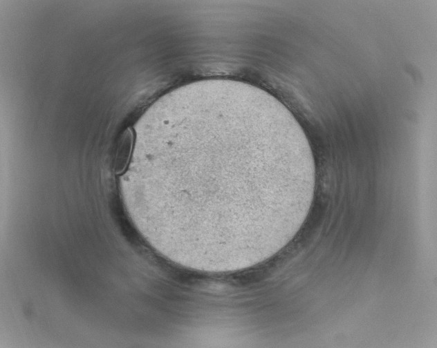 X0000115030743200911231112