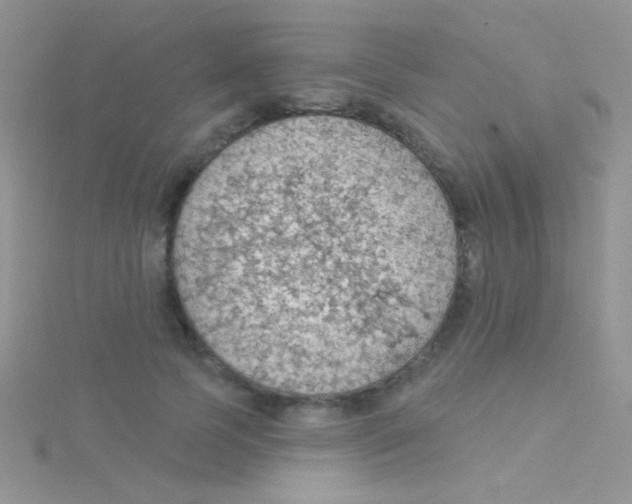 X0000115030745200911231112