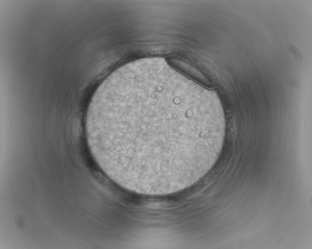 X0000115030746200911231112