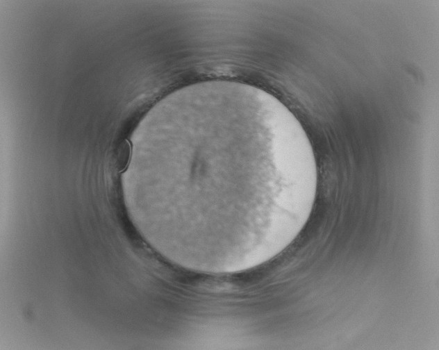 X0000115030747200911231112