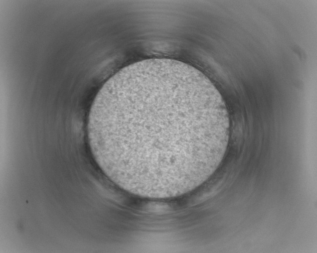 X0000115030749200911231112