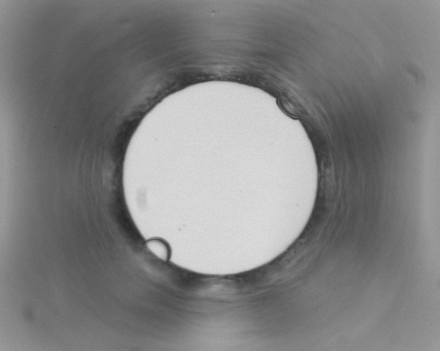 X0000115030750200911231112