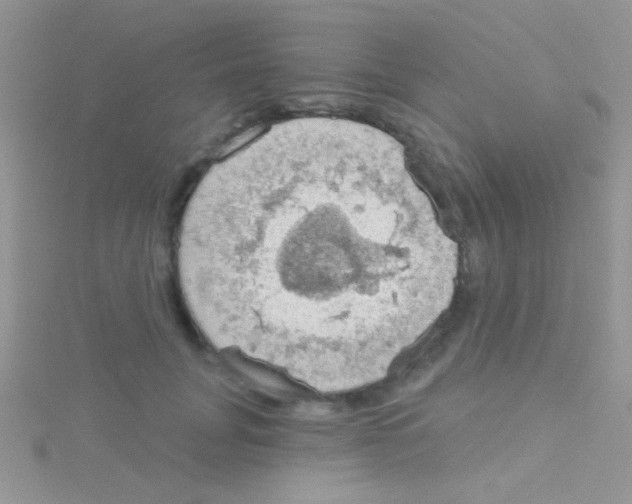 X0000115030751200911231112