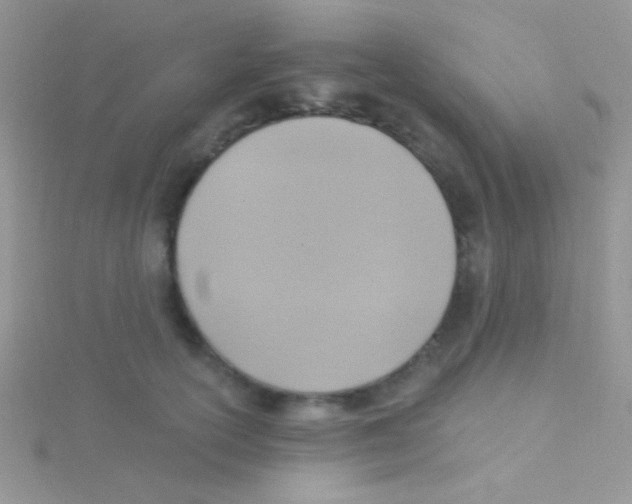 X0000115030754200911231112