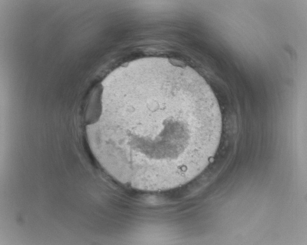 X0000115030755200911231112