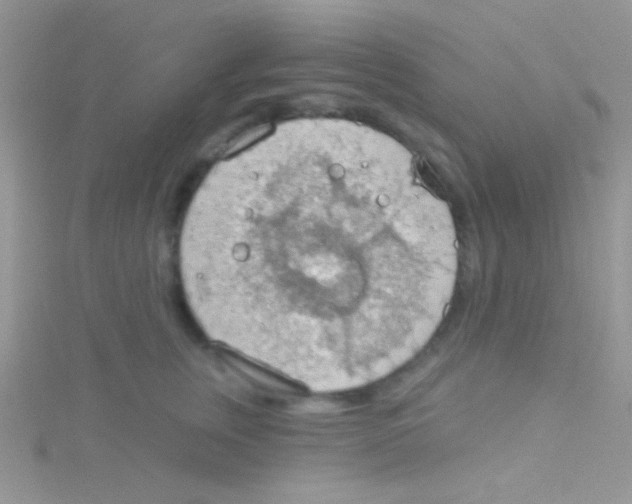 X0000115030759200911231112