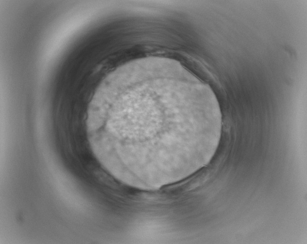 X0000115030763200911231112